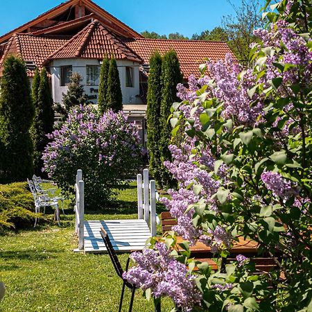 Pensiunea Poiana Avrigului Exterior foto