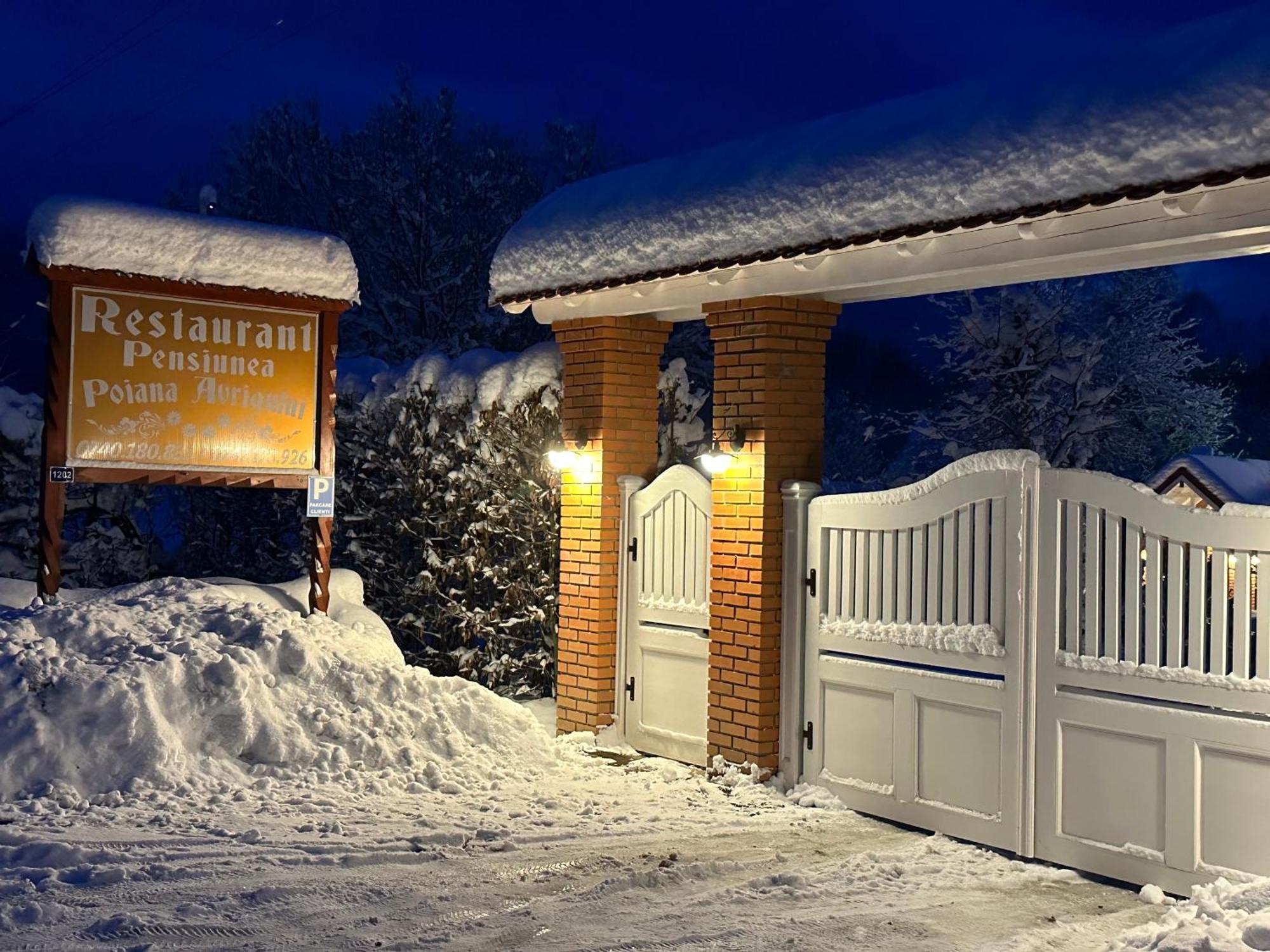 Pensiunea Poiana Avrigului Exterior foto