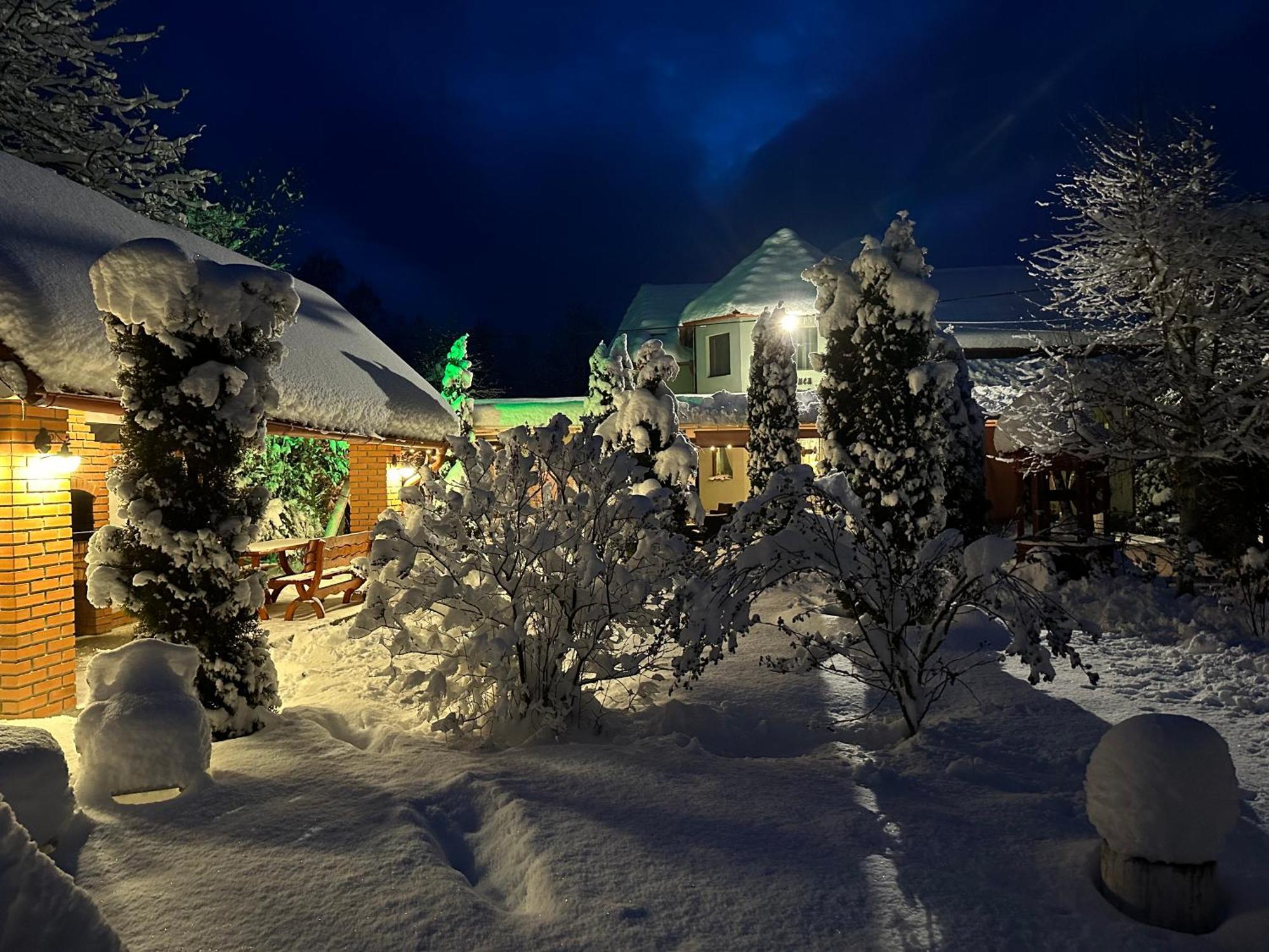 Pensiunea Poiana Avrigului Exterior foto