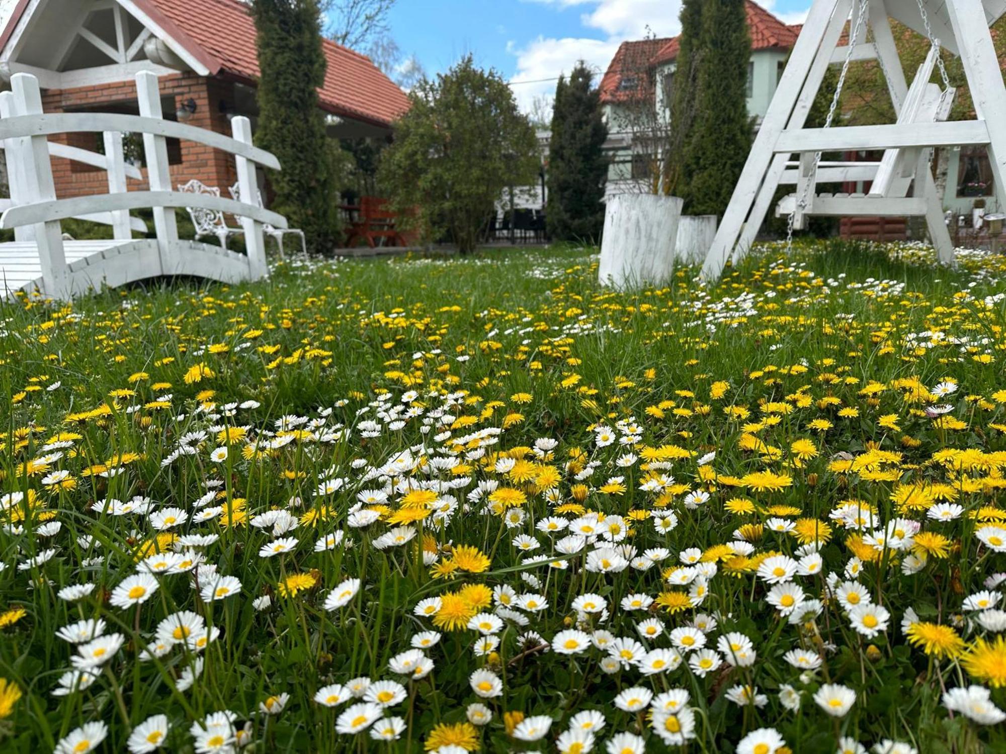 Pensiunea Poiana Avrigului Exterior foto