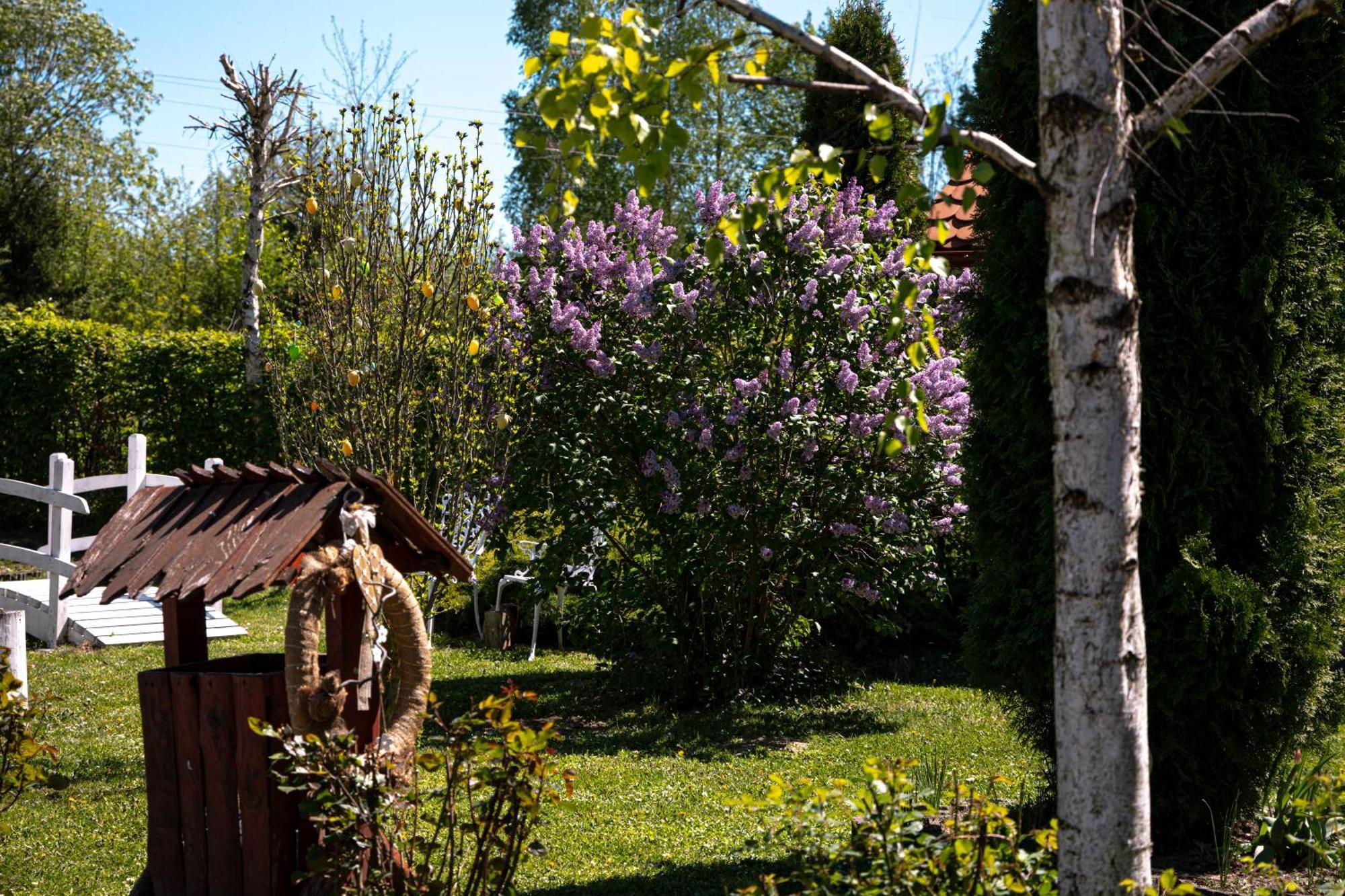 Pensiunea Poiana Avrigului Exterior foto