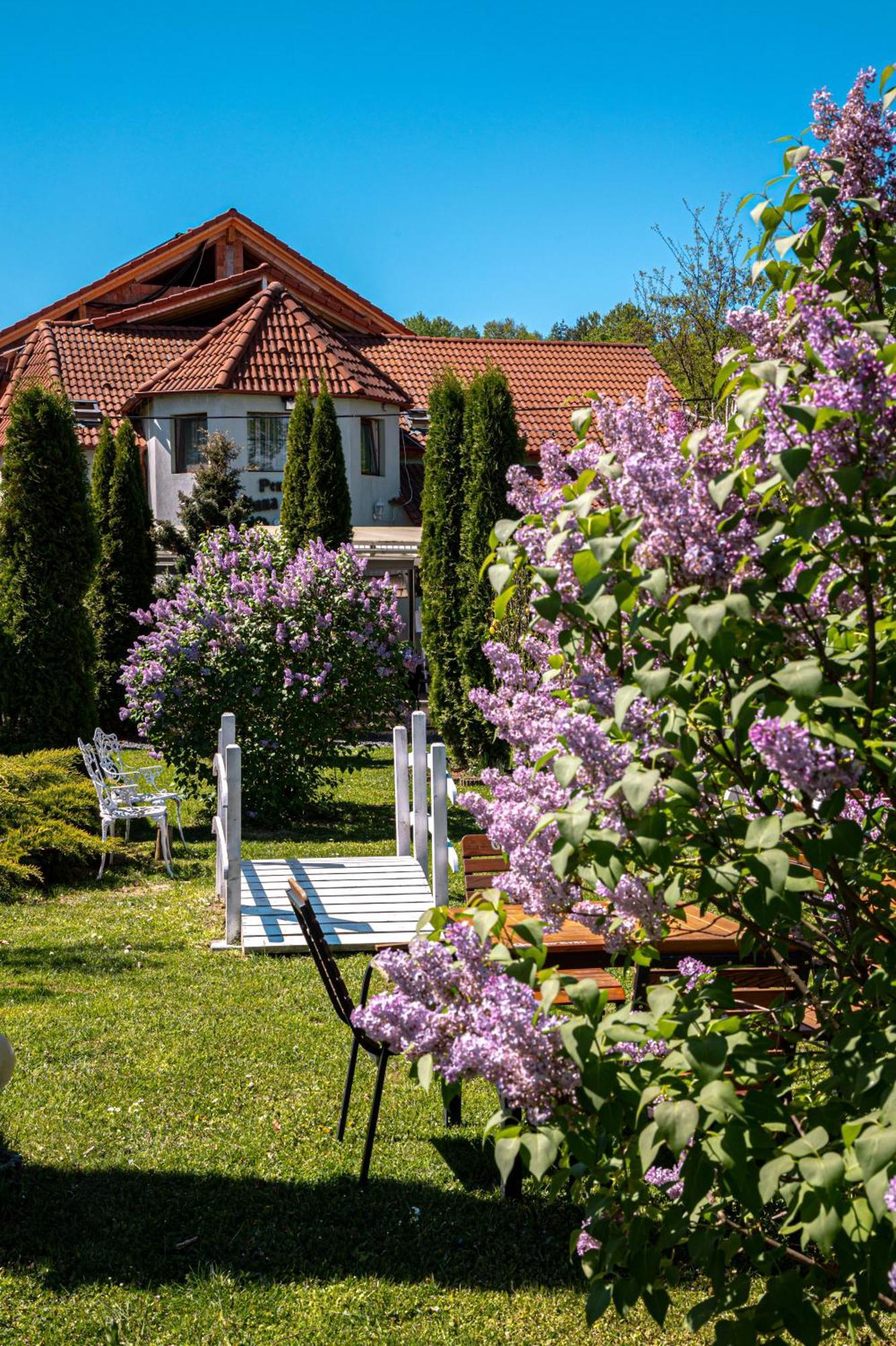 Pensiunea Poiana Avrigului Exterior foto