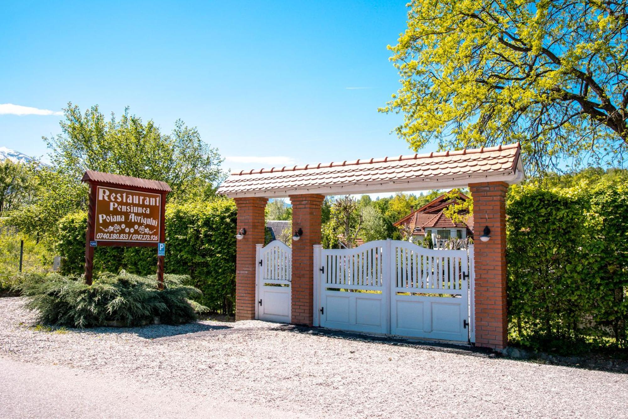 Pensiunea Poiana Avrigului Exterior foto