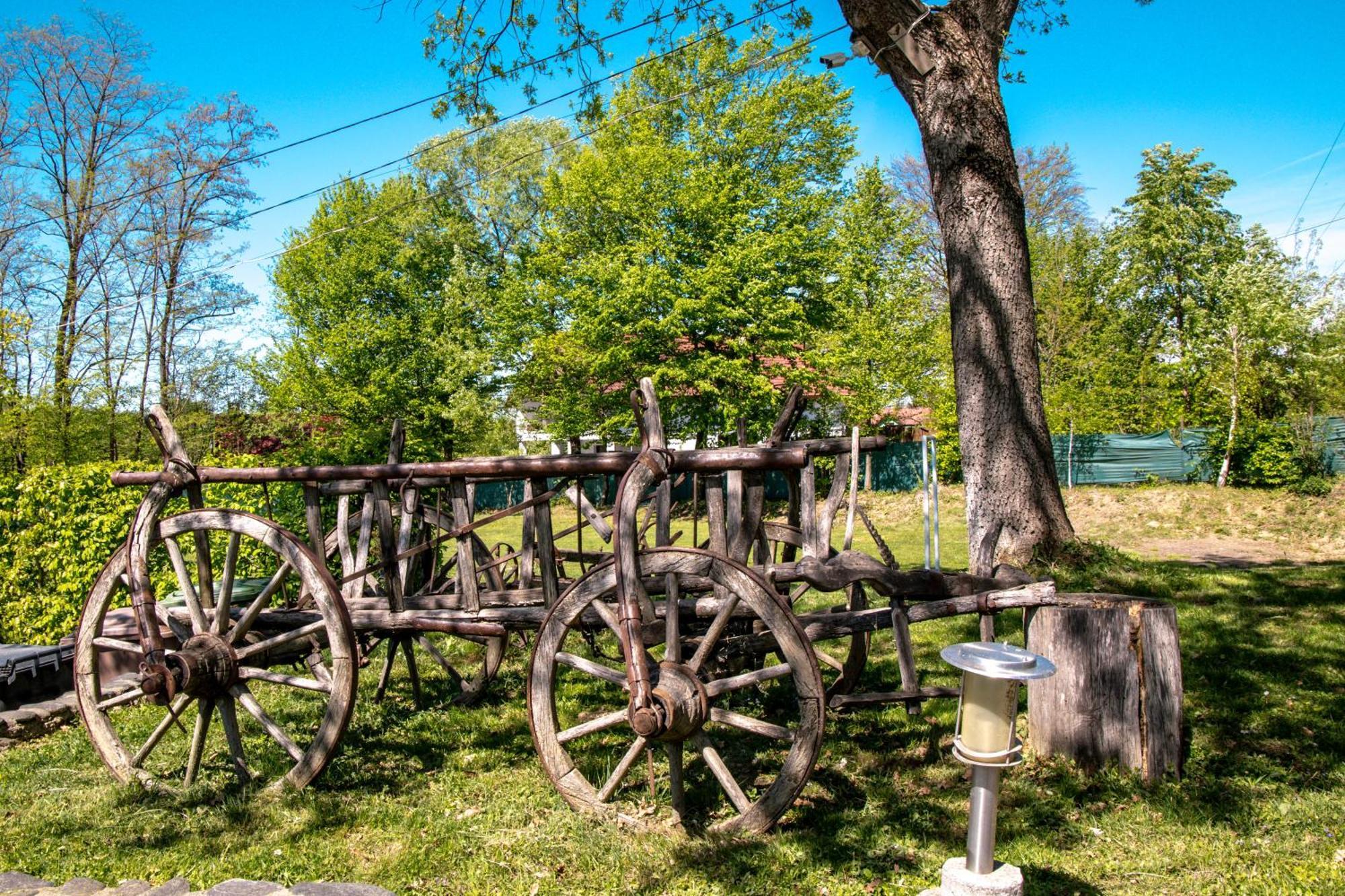 Pensiunea Poiana Avrigului Exterior foto